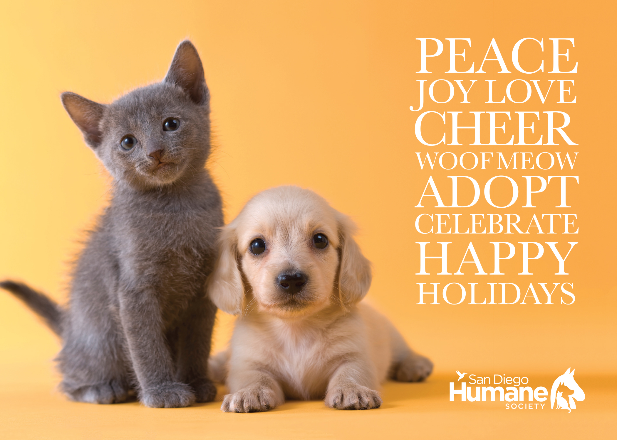winter holiday ecard puppy and kitten