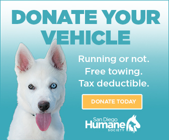 Donate your vehicle for the animals