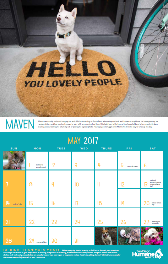 Maven May 2017 Calendar Spread