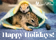 E-Card: PW Holiday