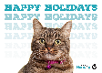E-Card: Holiday Cat